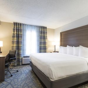 King Room Disability Access